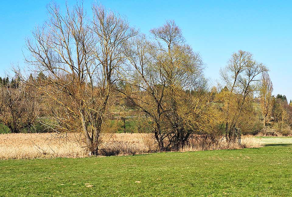 Rundtour Weil der Stadt - Herrenberg