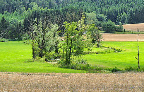 Altmühlradweg von Ansbach nach Herrieden