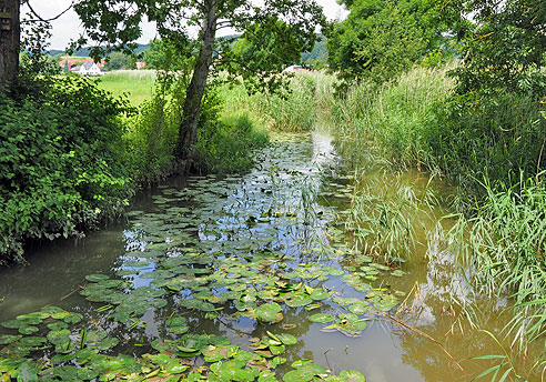 Altmühlradweg von Ansbach nach Herrieden