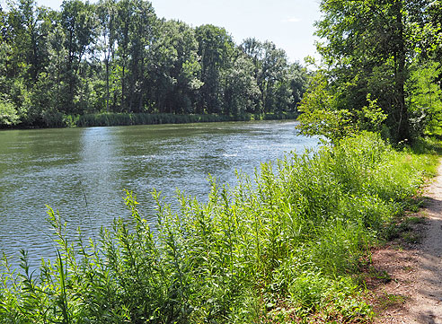 Entlang der Donau von  Donauwörth nach Ulm