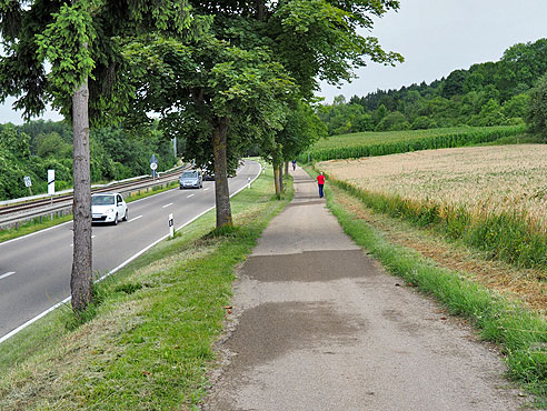 Entlang der Donau von  Donauwörth nach Ulm