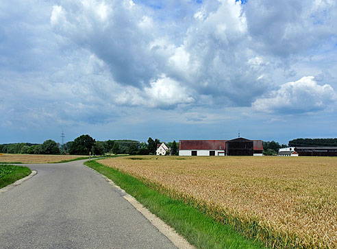 Entlang der Donau von  Donauwörth nach Ulm