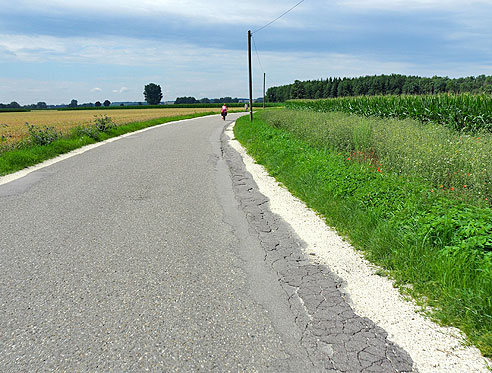 Entlang der Donau von  Donauwörth nach Ulm