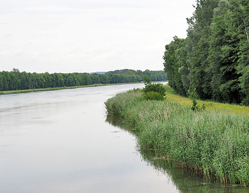 Entlang der Donau von  Donauwörth nach Ulm