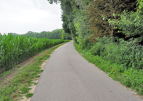 Entlang der Donau von  Donauwörth nach Ulm