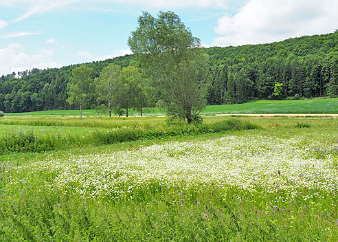 Rundtour an Donau, Schmiech und Blau um Ulm herum