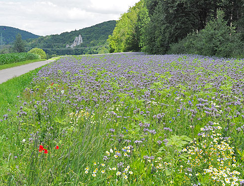 Rundtour an Donau, Schmiech und Blau um Ulm herum