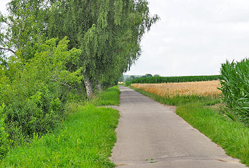 Rundtour an Donau, Schmiech und Blau um Ulm herum