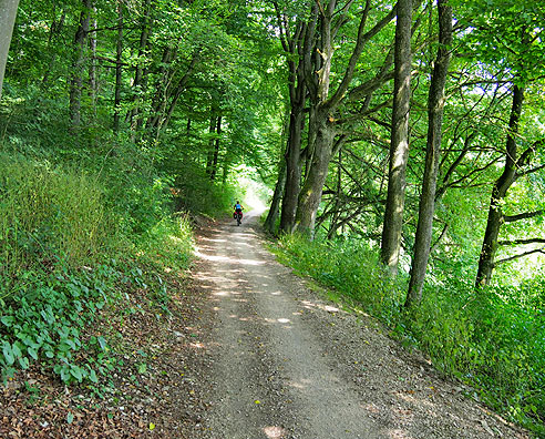 Altmühlradweg