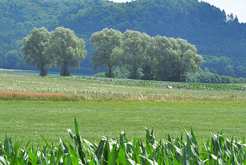 Radtour auf dem Fünf-Flüsse-Radweg nach München