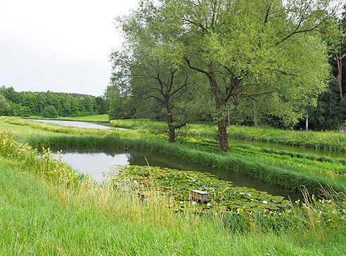 Karpfenradweg durch Franken