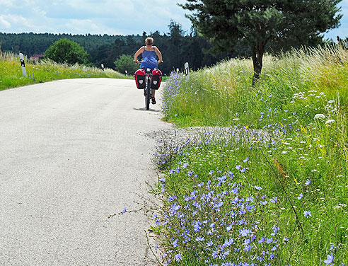 Karpfenradweg durch Franken