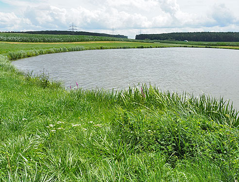 Karpfenradweg durch Franken