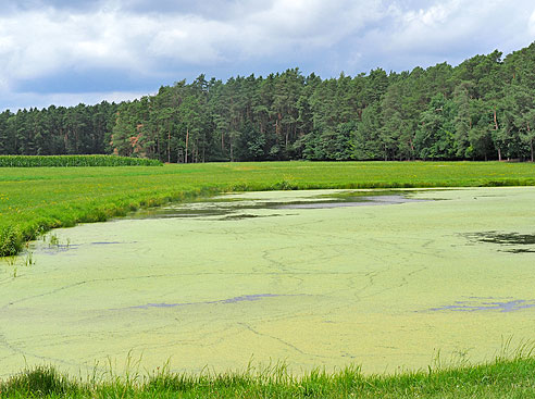 Karpfenradweg durch Franken