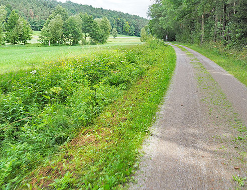 Karpfenradweg durch Franken