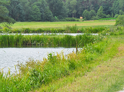 Karpfenradweg durch Franken