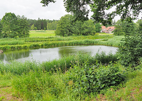 Karpfenradweg durch Franken