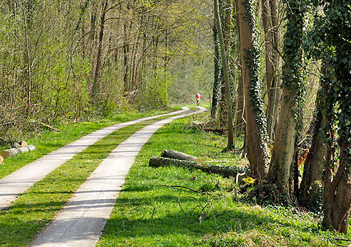 Auf dem Weg zum Enzeck, einer Kehre der Enz