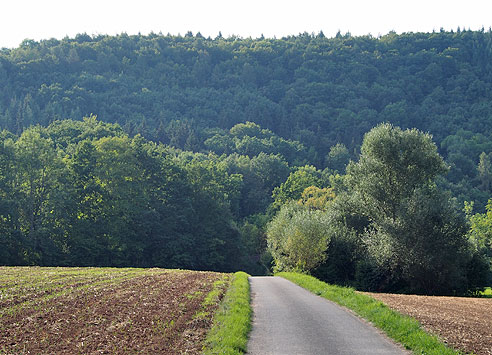 m untern Talabschnitt dominieren der Wald und die Berge