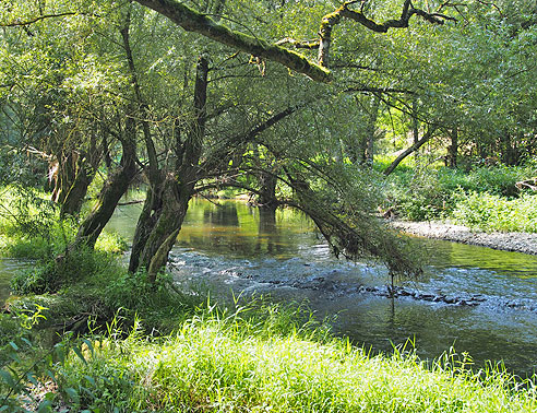 Landschaft an der Tauber