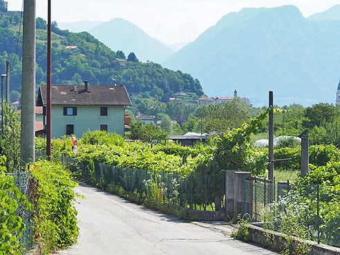 Bemalte Fassaden in Feltre