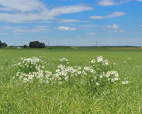 Via Claudia Augusta von Augsburg bis Schongau