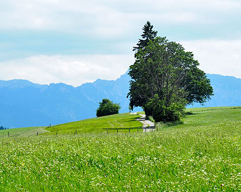 Via Claudia Augusta von Peinting bis Füssen