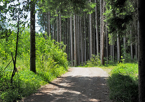 Via Claudia Augusta von Peinting bis Füssen
