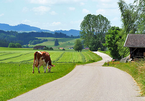 Via Claudia Augusta von Peinting bis Füssen