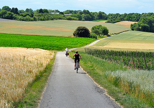 Raddrunde von Weil der Stadt entlang von Würm, Rankbach, Glems und Enz nach Mühlacker