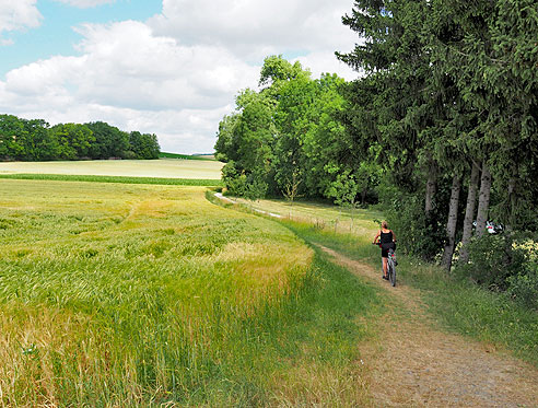 Raddrunde von Weil der Stadt entlang von Würm, Rankbach, Glems und Enz nach Mühlacker