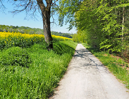 Von Weil der Stadt nach Bruchsal