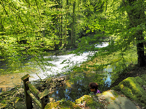 Von Weil der Stadt nach Bruchsal