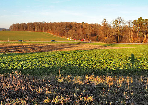 Runde Weil der Stadt, Merklingen, Malmsheim, Renningen und zurück