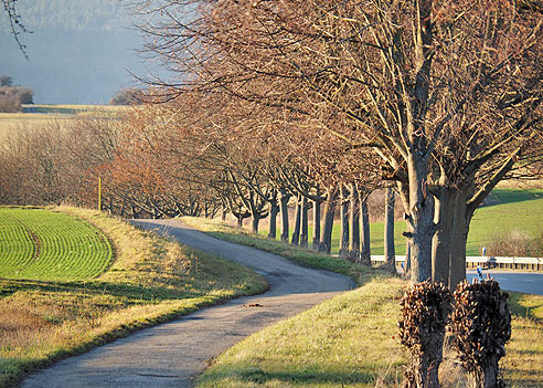 Runde Weil der Stadt, Merklingen, Malmsheim, Renningen und zurück