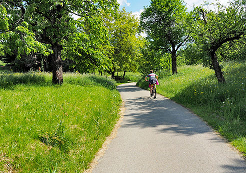 Abseits der Straße durch Streuobstwiesen