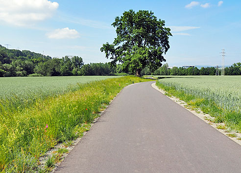 Werra und Fuldaradweg