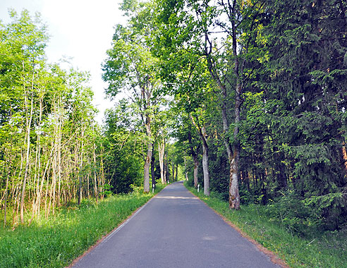 Werra und Fuldaradweg