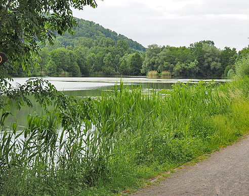 Werra und Fuldaradweg