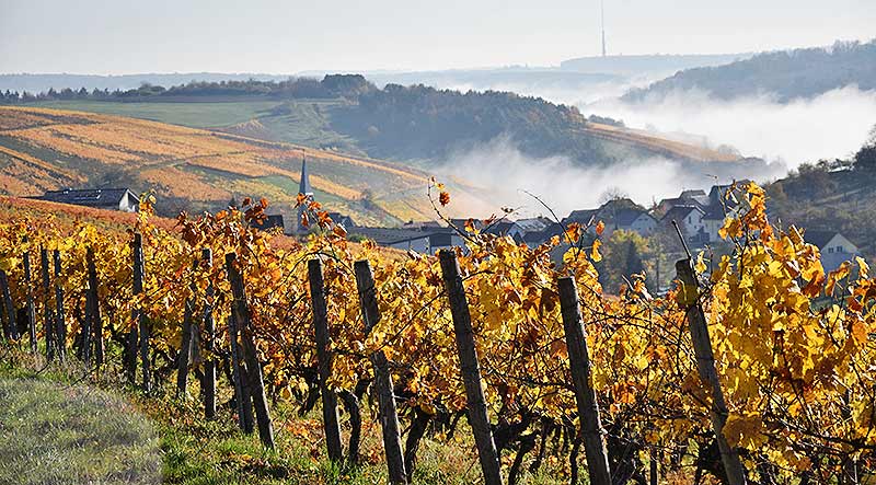Vinothek Becksteiner WeinWelt
