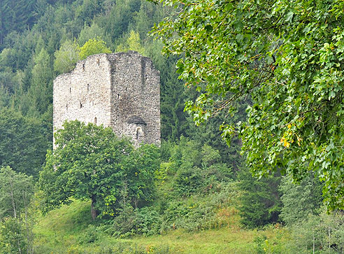 Burgruine Weyer