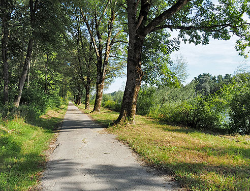 Idyllischer Radweg entlang der Salzach