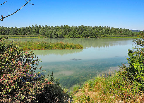 Blick in die Hagenauer Bucht