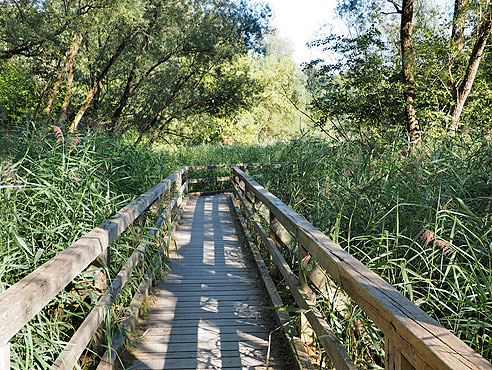 Über Holzstege nach Reichersberg