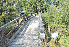 Holzbrücke über Bach