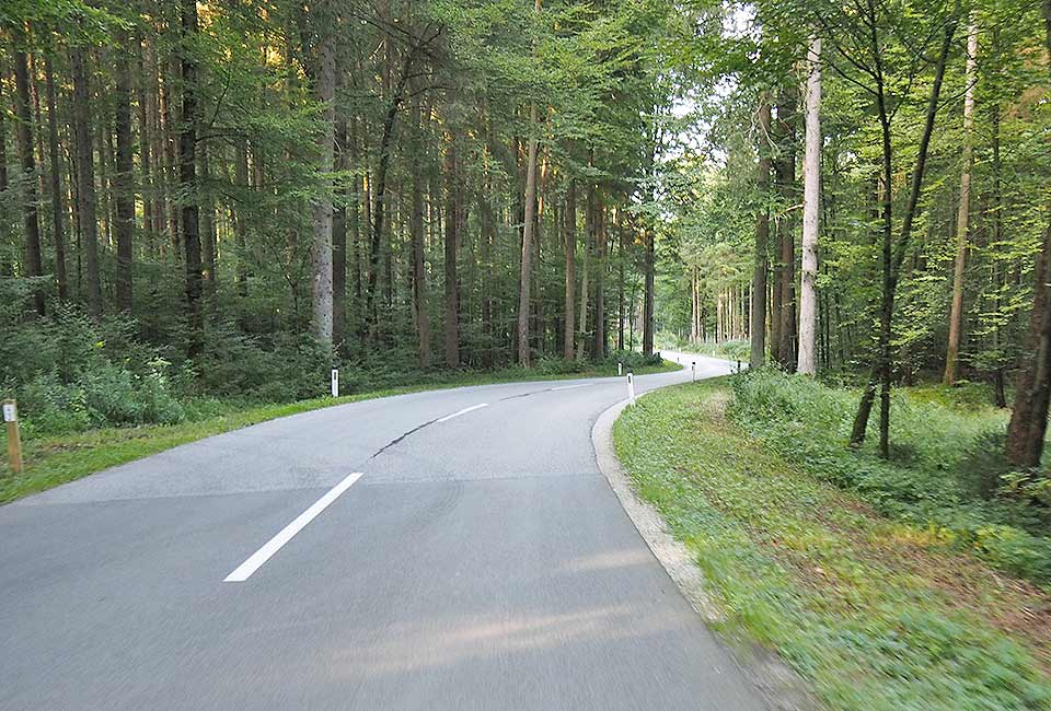 Leicht bergab im Wald