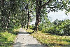 Idyllischer Radweg