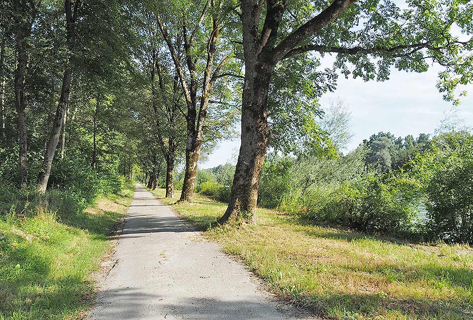 Idyllischer Radweg entlang der Salzach