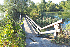 Holzbrücke