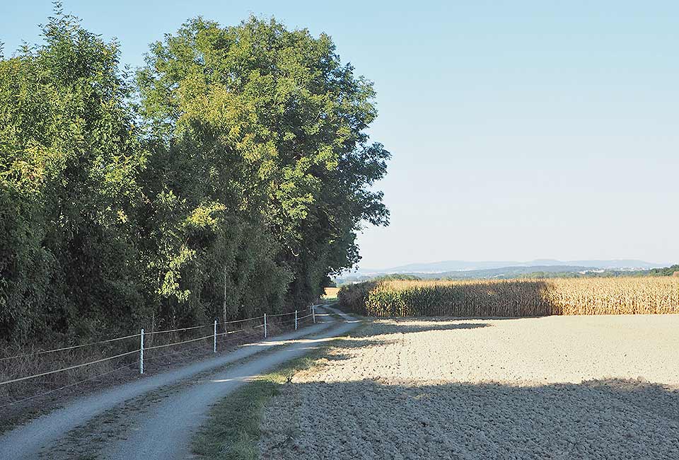 Radweg auf dem Hang oberhalb des Inns